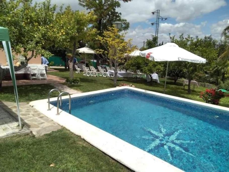 Vivienda Rural La Choza Villa Jerez de la Frontera Exteriör bild